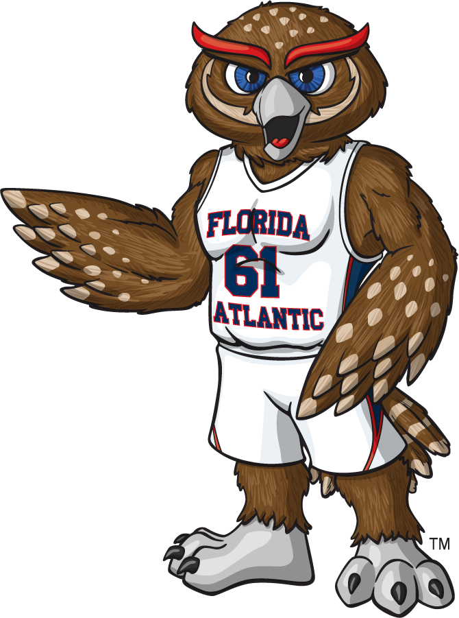 Florida Atlantic Owls 2014-2015 Mascot Logo diy iron on heat transfer